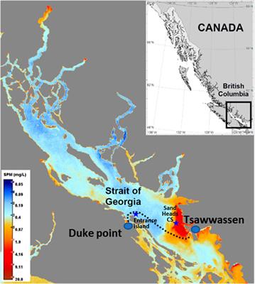 Spatial Variability of In Situ Above-Water Reflectance in Coastal Dynamic Waters: Implications for Satellite Match-Up Analysis
